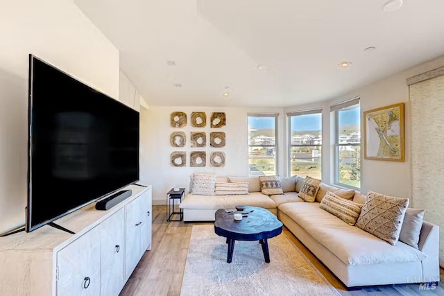 living area with light wood finished floors