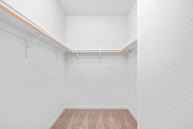 spacious closet with carpet flooring