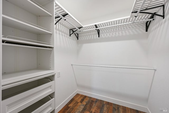 spacious closet featuring dark wood-style floors