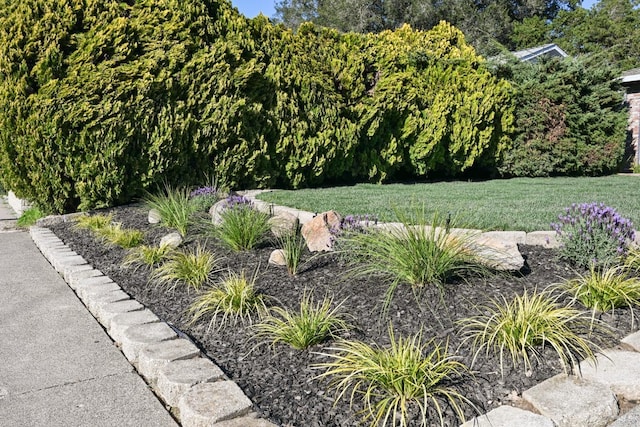 view of home's community with a yard