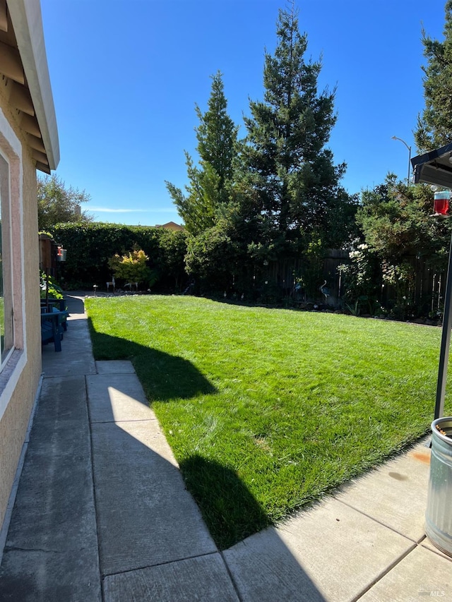 808 Pochard Way, Suisun City, CA 94585 - view of yard