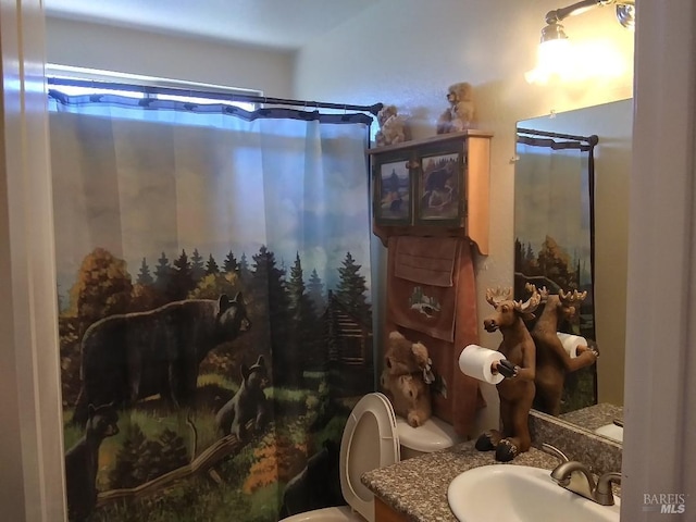 808 Pochard Way, Suisun City, CA 94585 - bathroom with toilet, vanity, and a shower with curtain