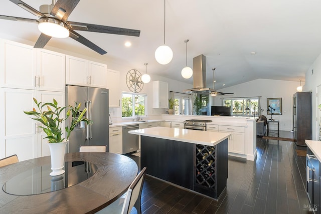 kitchen with appliances with stainless steel finishes, a healthy amount of sunlight, a sink, island range hood, and a peninsula