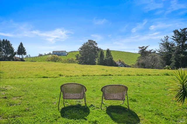 view of yard featuring a rural view