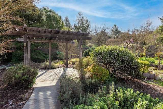 view of community with a patio area and a pergola