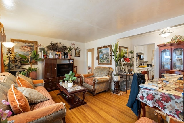 living area with wood finished floors