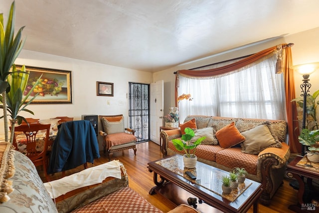 living area featuring wood finished floors