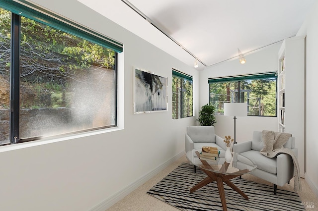 sitting room with lofted ceiling, carpet floors, baseboards, and track lighting