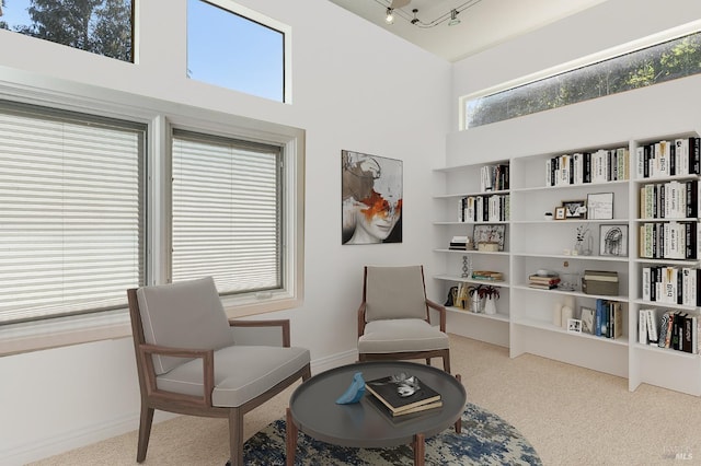 sitting room featuring carpet floors, a towering ceiling, and baseboards