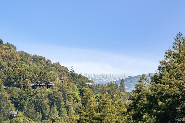 mountain view featuring a city view and a view of trees