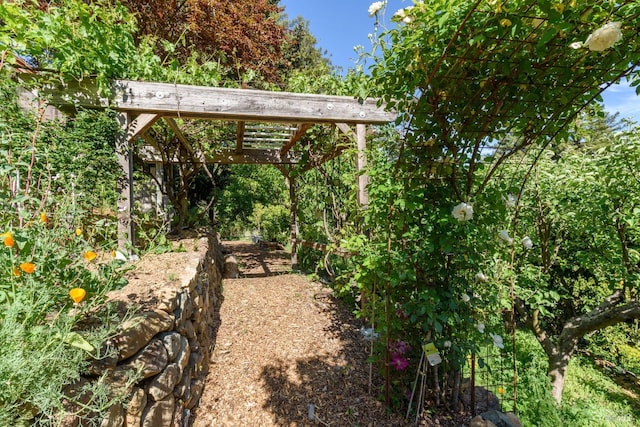 view of yard featuring a pergola