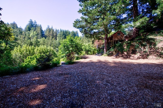 view of yard with a forest view