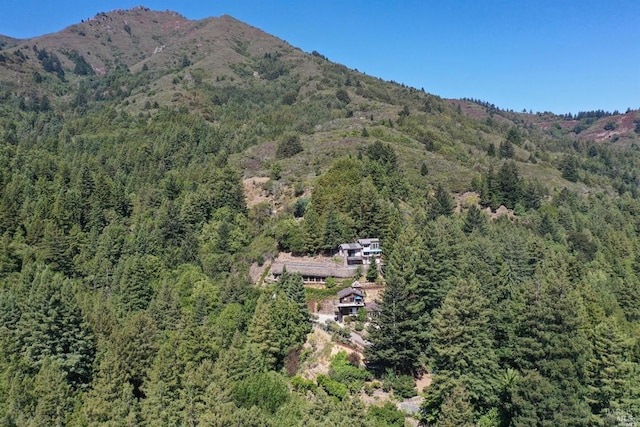 birds eye view of property with a forest view and a mountain view