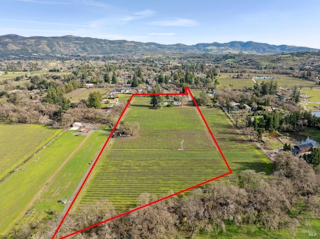 birds eye view of property featuring a rural view and a mountain view