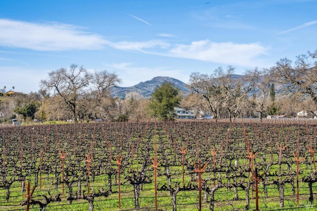 view of yard featuring a rural view, fence, and a mountain view