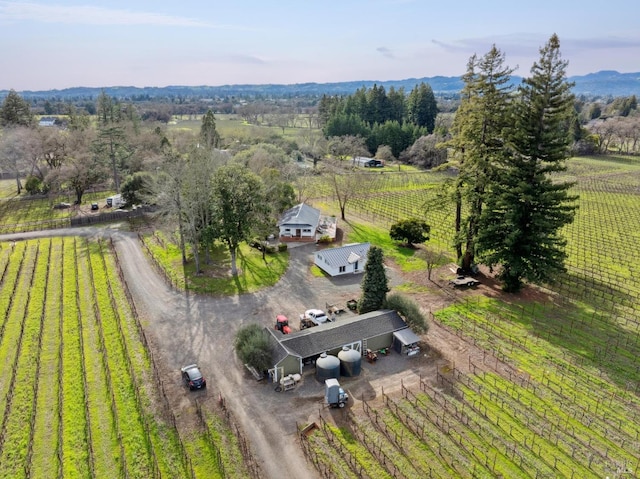 birds eye view of property featuring a rural view