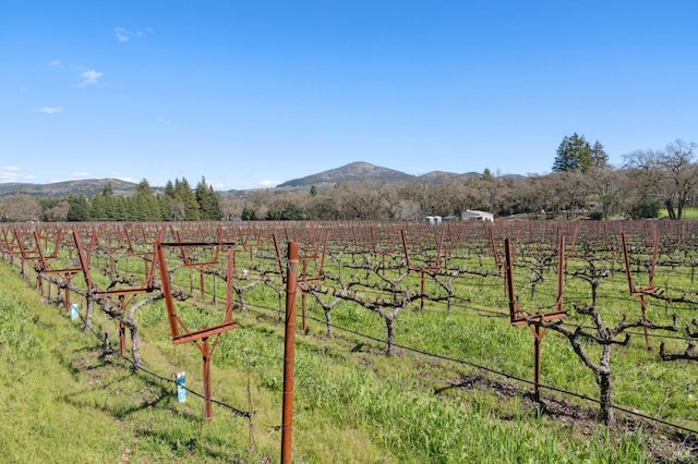 view of yard with a rural view, a mountain view, and fence