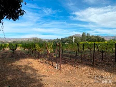 view of yard featuring a rural view, a mountain view, and fence