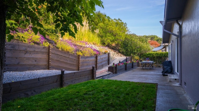 view of yard featuring a patio and a fenced backyard