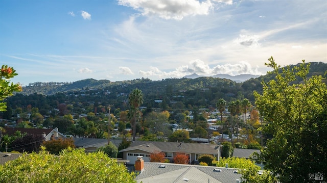 view of mountain feature