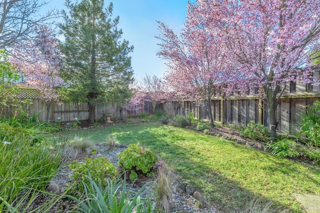 view of yard featuring a fenced backyard