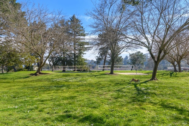 view of yard with volleyball court