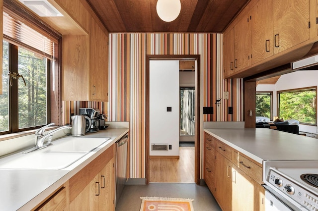 kitchen with visible vents, dishwasher, electric range oven, light countertops, and a sink