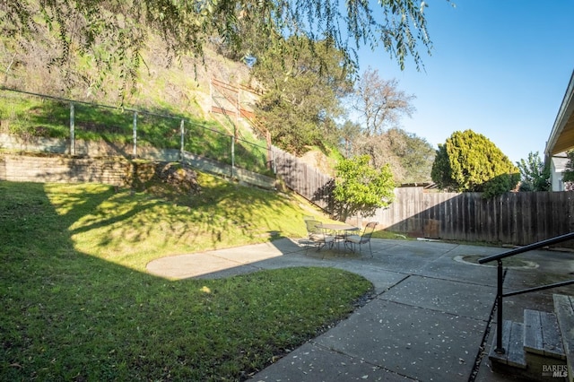 view of yard with a patio area and a fenced backyard