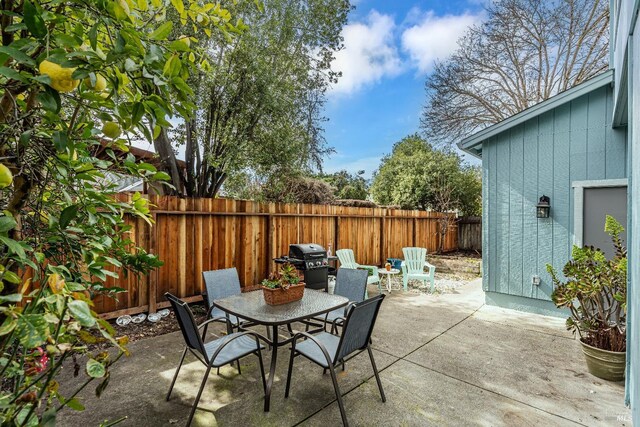 view of patio / terrace with outdoor dining area, a fenced backyard, and area for grilling