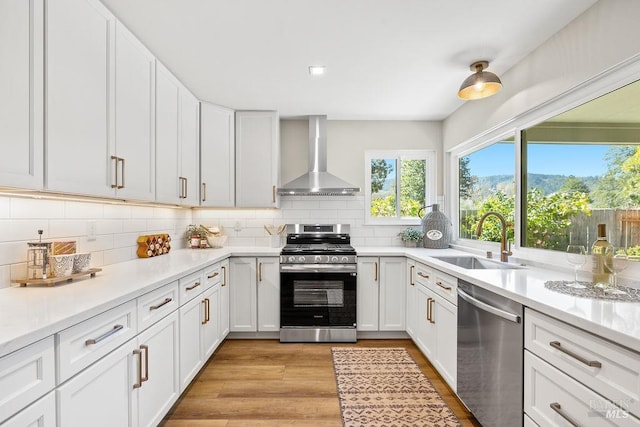 kitchen featuring tasteful backsplash, appliances with stainless steel finishes, a sink, wall chimney range hood, and light wood-type flooring