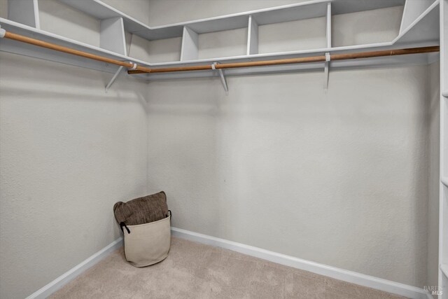 walk in closet featuring carpet