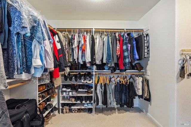spacious closet with carpet flooring