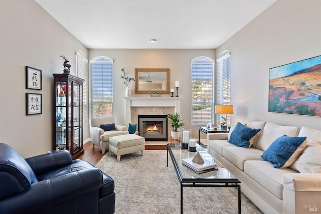 living area featuring baseboards, a fireplace, and wood finished floors
