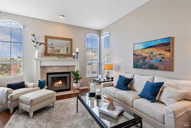 living room featuring baseboards, a wealth of natural light, wood finished floors, and a high end fireplace