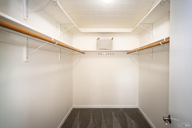 spacious closet with carpet flooring