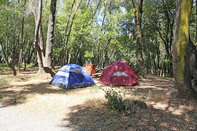 view of yard featuring a wooded view