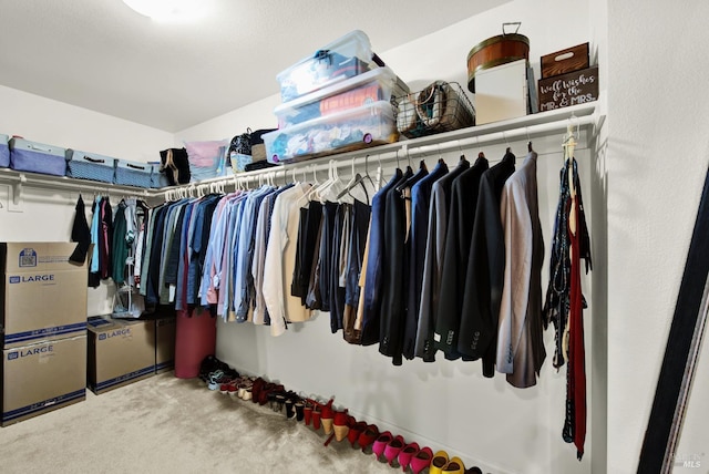 walk in closet with carpet floors