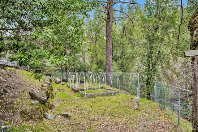 14031 Ettawa Springs Rd, Middletown, CA 95461 - view of yard featuring fence and a garden