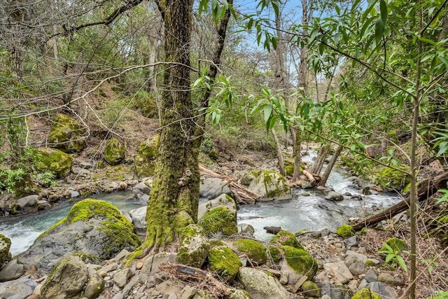14031 Ettawa Springs Rd, Middletown, CA 95461 - view of local wilderness