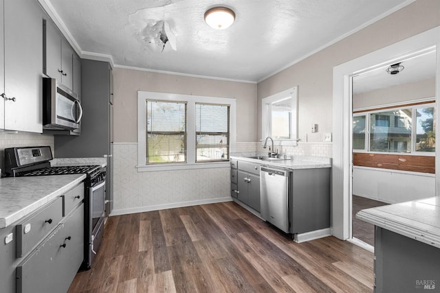 kitchen featuring gray cabinetry, stainless steel appliances, dark wood-style flooring, a sink, and wainscoting