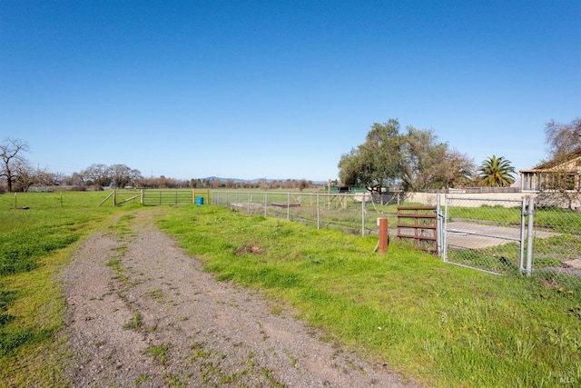 view of street with driveway, a gate, and a rural view