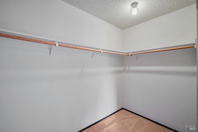 spacious closet with carpet floors