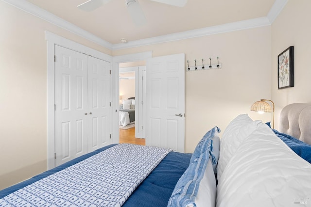 bedroom featuring ceiling fan, ornamental molding, a closet, and wood finished floors