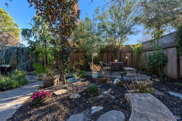 view of yard with a fenced backyard and a patio