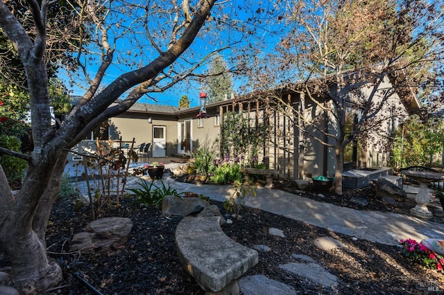 back of house featuring a patio area and stucco siding