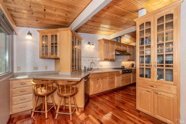 kitchen with tasteful backsplash, dark wood finished floors, a sink, under cabinet range hood, and stainless steel dishwasher