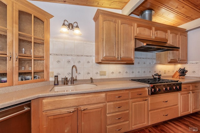 kitchen with under cabinet range hood, glass insert cabinets, stainless steel appliances, and a sink