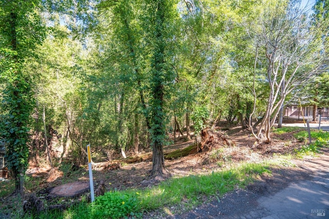 10619 Woodside Dr, Forestville CA, 95436 land for sale