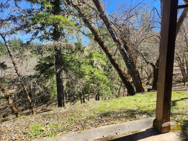 view of yard with a forest view