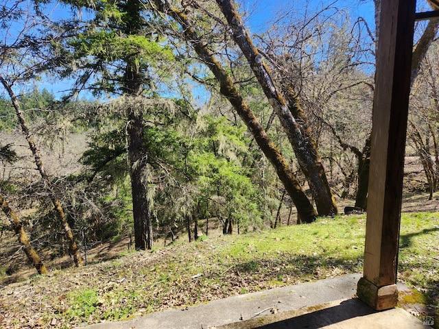 view of yard featuring a forest view